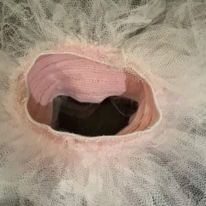 Light Pink Ballet Tutu